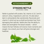 Rthvi huile naturelle pour la croissance des cheveux - 60ml